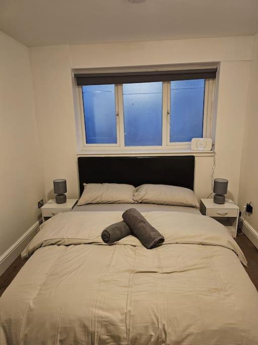 Beautiful Garden Flat Near Central Londres Extérieur photo