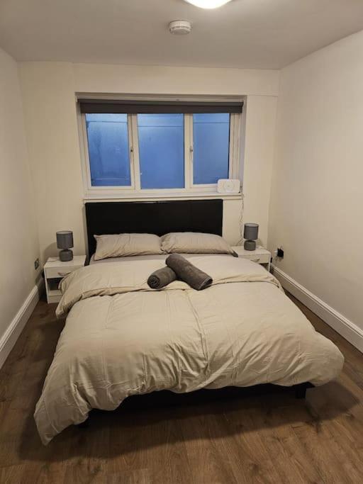 Beautiful Garden Flat Near Central Londres Extérieur photo